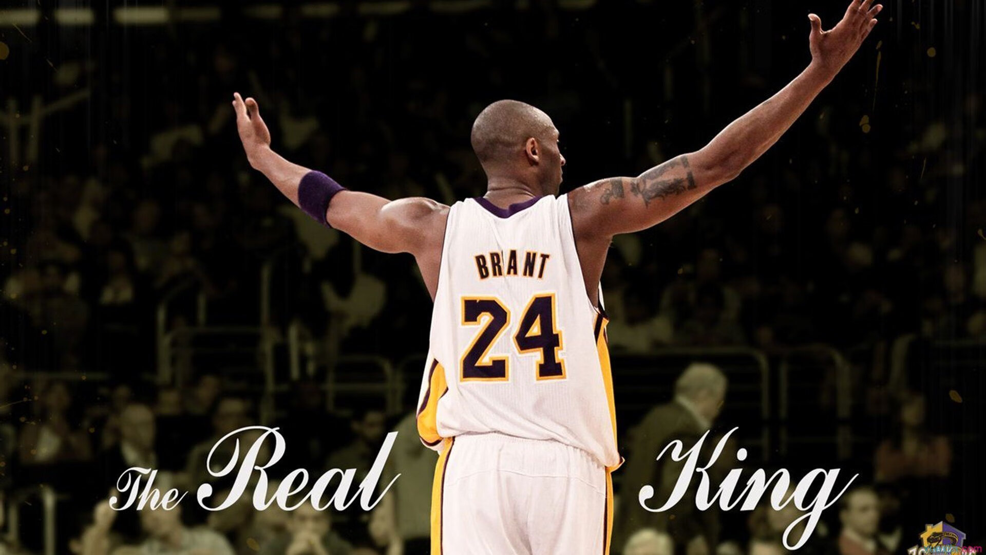 NBA推动女性裁判执法常规赛,联盟性别多元化再升级,nba女裁判员